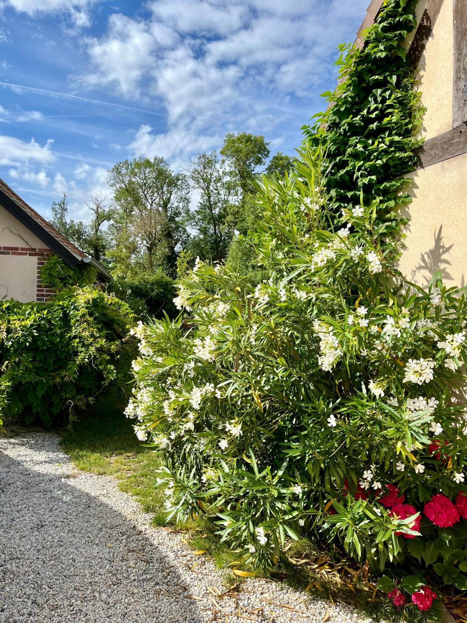 Cote Riviere Apartment Ezy-sur-Eure Екстериор снимка